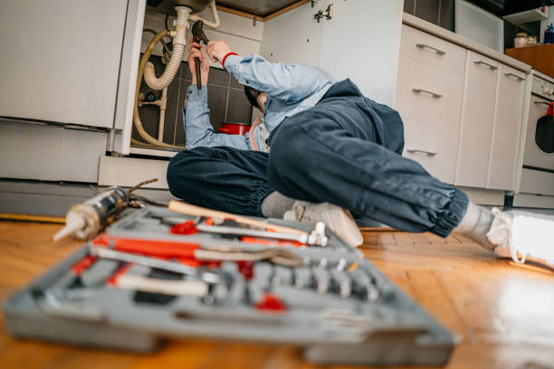 Best Emergency Plumber  in Old Fig Garden, CA