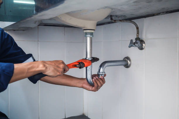 Best Plumbing Inspection Services  in Old Fig Garden, CA