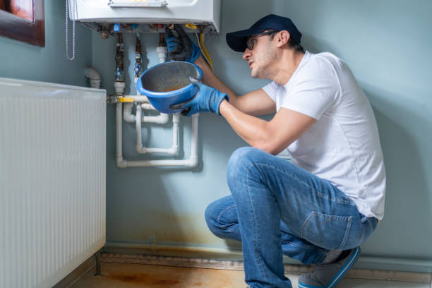 Best Commercial Plumbing Services  in Old Fig Garden, CA